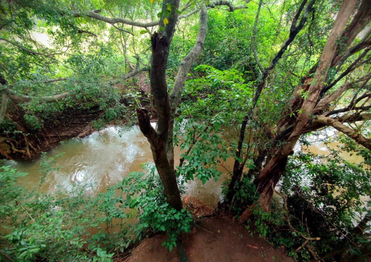 Sigiriya River Side Villa Экстерьер фото