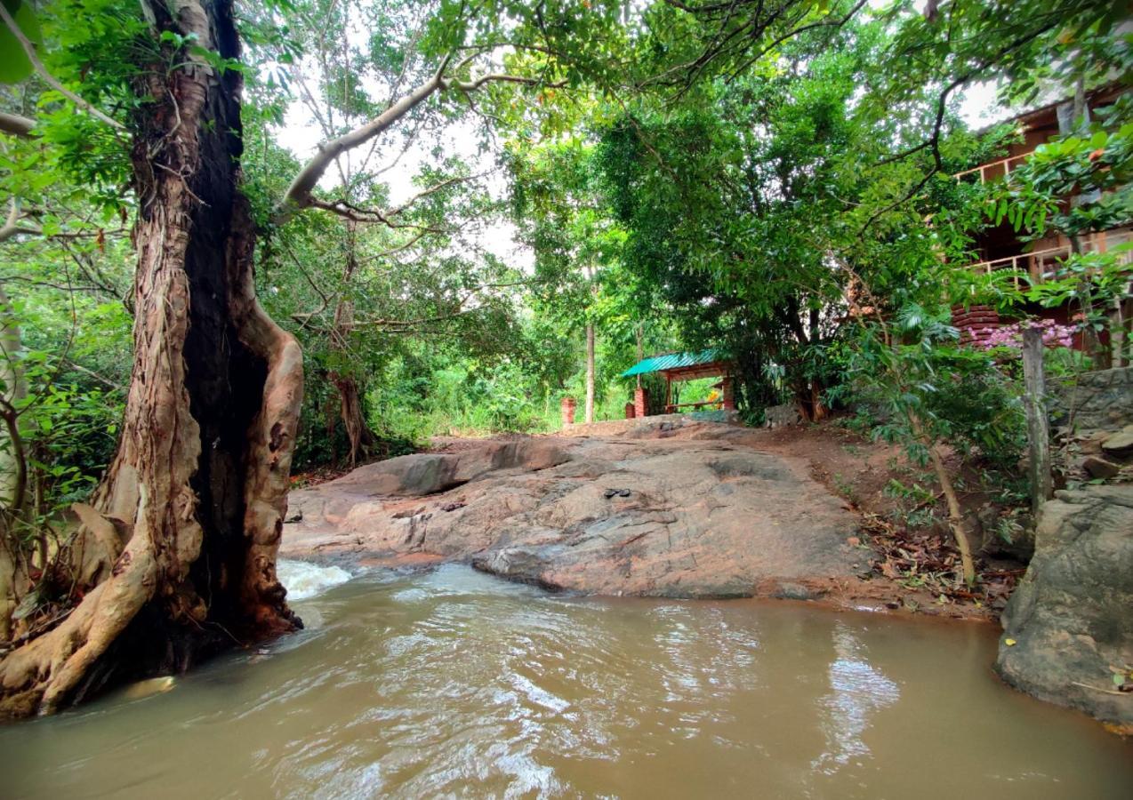 Sigiriya River Side Villa Экстерьер фото