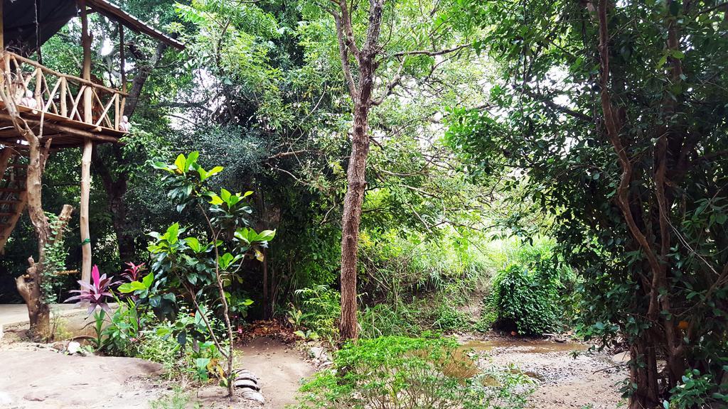 Sigiriya River Side Villa Экстерьер фото